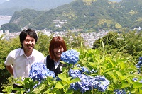 牛原山アジサイ 牛原山アジサイ