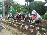 三聖塾花植え 三聖塾花植え