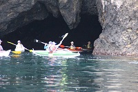 海洋クラブ 海洋クラブ