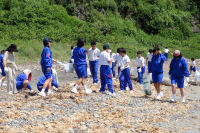 海岸清掃 海岸清掃