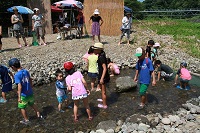 鮎のつかみどり