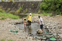 鮎のつかみどり