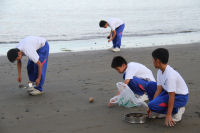 海岸清掃ボランティア