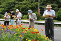 花壇コンクール・街角の花コンクール