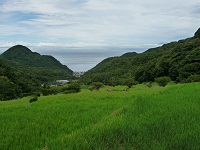 棚田からの富士山