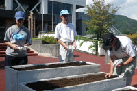 分校生花壇種まき