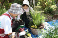 花の会寄せ植え