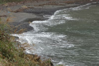 海 海