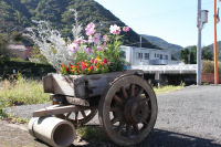 寄せ植え展示