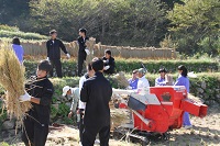 松高生脱穀 松高生脱穀