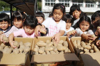 帯広市からジャガイモ届く 帯広市からジャガイモ届く