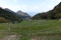 石部の棚田 石部の棚田