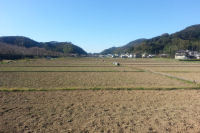 那賀の田んぼ 那賀の田んぼ