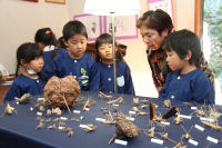 松崎幼稚園文化展見学 松崎幼稚園文化展見学