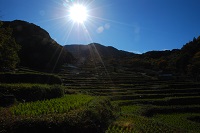 棚田風景 棚田風景