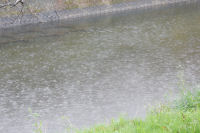 雨 雨