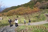 富士山ビューウォーキングⅡ