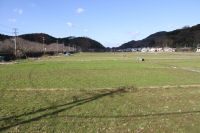 那賀の大規模花畑