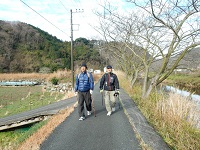 ノリディックウォーキング