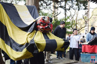 桜田・神楽奉納