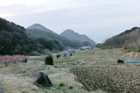 石部棚田 石部棚田