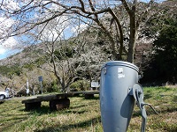 那賀バイパス桜ライトアップ