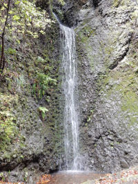 高野山・滝 高野山・滝