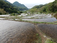 石部棚田 石部棚田