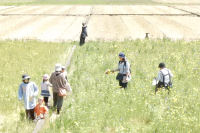 花畑開放 花畑開放