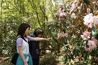 長九郎 長九郎