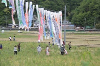 花狩り 花狩り