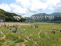 那賀大規模花畑 那賀大規模花畑
