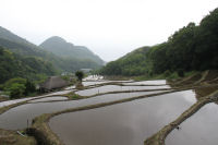 石部棚田 石部棚田