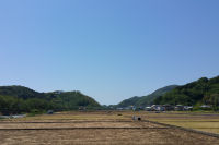 那賀 那賀