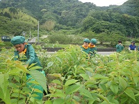 みどりの少年団 みどりの少年団