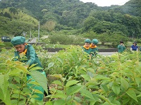 みどりの少年団