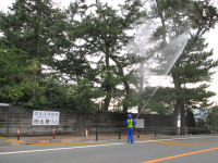 松くい虫防除 松くい虫防除