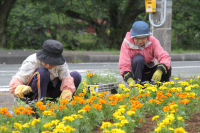 花の会 花の会