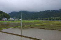 田んぼ 田んぼ