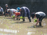 みどりの少年団田植え みどりの少年団田植え