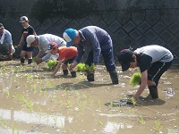 みどりの少年団田植え