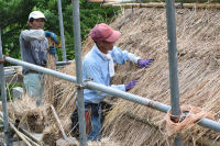 かやぶき屋根修繕