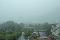 雨 雨