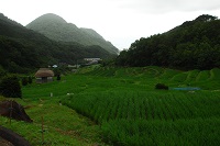 石部棚田 石部棚田