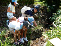生き物観察会