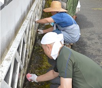 なまこ壁クリーニング