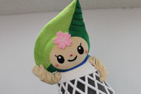 ゆるキャラグランプリ