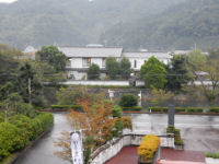 雨