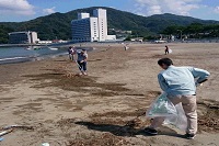 海岸清掃 海岸清掃