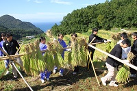 棚田収穫祭１日目